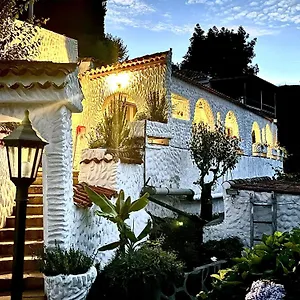 https://el-bosque-de-laurisilva.in-canary-islands.com
